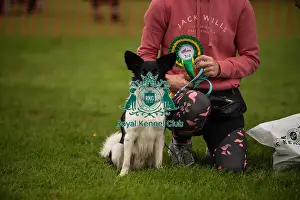 Third Place Prints: Winners_at_Scruffts_All_About_Dogs_Cornwall