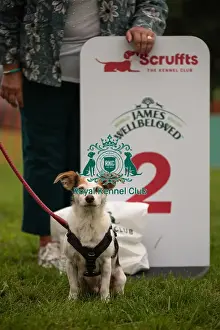 Winners_at_Scruffts_All_About_Dogs_Cornwall
