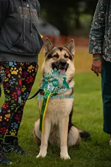 Scruffts Prints: Winners_at_Scruffts_All_About_Dogs_Cornwall