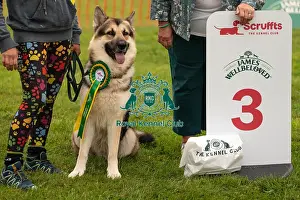 Scruffts Prints: Winners_at_Scruffts_All_About_Dogs_Cornwall
