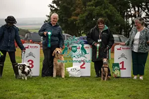 Scruffts Prints: Winners_at_Scruffts_All_About_Dogs_Cornwall