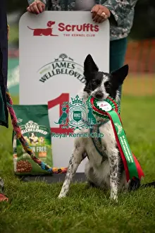 Scruffts Prints: Winners_at_Scruffts_All_About_Dogs_Cornwall