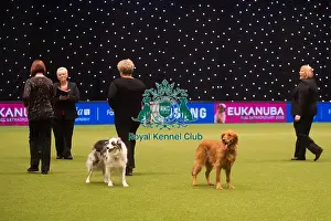 Winners of Obedience Crufts Championship presentation