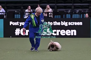 Pekingese Prints: Winnie Mee from Forest of Dean with Mickey