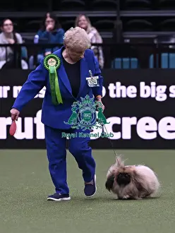 Pekingese Prints: Winnie Mee from Forest of Dean with Mickey