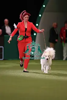 Yasmin Needham from Leicestershire with Nova, a Canadian Eskimo Dog, which was the Best of Breed winner today (Friday 10. 03. 23), the second day of Crufts 2023, at the NEC Birmingham