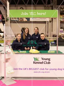 YKC Stand