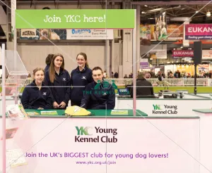 YKC Stand