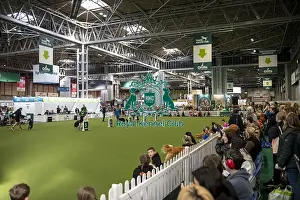 Young Kennel Club Arena, today (Thursday 06/03/25)
