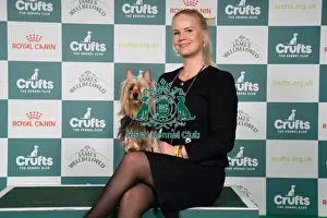 Australian Silky Terrier Prints: Yvonne Donnellan and Kim Roberts from Finland with Maya