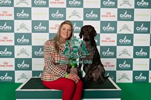 German Shorthaired Pointer Prints: Zoe Sielski from Cleveleys, Lancashire with Bolt