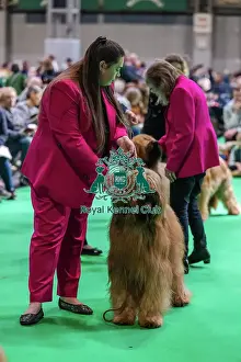 Briard Prints: Zweet Chilli Song Moravia Campanella At Stormymoon